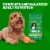 Iams Proactive Health Minichunks Adult Small Kibble Dry Dog Food Real Chicken Flavor Perspective: right