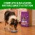 Iams Proactive Health Healthy Aging Dry Senior Dog Food Real Chicken Flavor Perspective: right