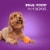Iams Advanced Health Healthy Digestion Adult Dry Dog Food Real Chicken Flavor Perspective: right