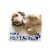 Resolve® Aerosol Foam Carpet Cleaner Perspective: right