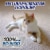 Resolve Urine Destroyer Pet Stain & Odor Remover Perspective: right