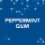 Orbit Gum Peppermint Sugar Free Chewing Gum Single Pack Perspective: right