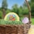 Hubba Bubba Original Easter Bubble Gum Tape Perspective: right
