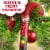 Skittles Original Christmas Chewy Candy Cane Tube Perspective: right