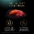 Sheba Perfect Portions Cuts in Gravy Salmon & Sustainable Tuna Adult Wet Cat Food Variety Pack Perspective: right