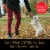 Cesar Softies Medley Trio Adult Dog Treats Perspective: right