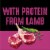 Crave Grain Free Lamb Dry Dog Food Perspective: right