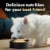 Cesar® Wholesome Bowls Chicken in Broth Wet Dog Food Perspective: right