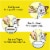 Temptations Creamy Puree Lickable Squeezable Wet Cat Treat Chicken Perspective: right