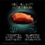 Sheba Perfect Portions Pate Salmon Soft Wet Kitten Food Perspective: right