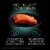 Sheba Perfect Portions Soft Wet Kitten Food Pate Salmon Perspective: right