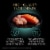 Sheba Perfect Portions Wet Kitten Food Pate Chicken & Salmon Variety Pack Perspective: right