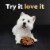 Cesar Filets in Gravy Filet Mignon and Rotisserie Chicken Wet Dog Food Variety Pack Mini-Pouches Perspective: right