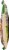 Nasoya® Udon Noodles Perspective: right