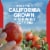 Hunt's 100% Natural Tomato Ketchup Perspective: right