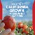 Hunt's 100% Natural Tomato Ketchup Perspective: right