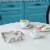 Blue Donuts Satin Nickel Napkin Holder Perspective: right