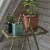 Wallflower Plant Stand, Olive Green Perspective: right