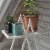Wallflower Plant Stand, White Perspective: right