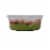 Spicy Guacamole Blender Perspective: right