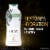 Olay Fresh Outlast Paraben Free with Relaxing Notes of Eucalyptus and Spirulina Body Wash Perspective: right