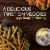 P.F. Chang's® Home Menu Tempura-Battered Crispy Green Beans Perspective: right