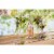 Fleurs de Prairie Provence France Rose Wine Perspective: right