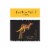 Yellow Tail Shiraz Australia Red Wine Perspective: right