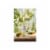 Barone Fini Pinot Grigio Italy White Wine Perspective: right