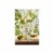 Barone Fini Pinot Grigio Italy White Wine Perspective: right