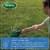 Turf Builder 12# Tb Tf Thk R Lwn Seed 30073 Perspective: right