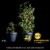 Miracle-Gro® Performance Organics™ All Purpose Container Mix Perspective: right