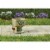Scotts® Whirl Handheld Spreader Perspective: right