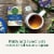 Traditional Medicinals Organic Nighty Night Tea Perspective: right