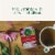 Traditional Medicinals Organic Echinacea Plus Tea Perspective: right