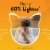 ARM & HAMMER Hardball Multi-Cat Clumping Cat Litter Perspective: right