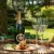 Gloria Ferrer Blanc de Blancs Chardonnay California Sparkling Wine Perspective: right
