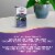 Nature's Way Sambucus Elderberry Ultra Strength Traditional Immune Drops Perspective: right