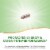 Nature's Way Rhodiola Rosea Standardized Vegan Capsules 250mg Perspective: right