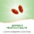 Nature's Way Saw Palmetto Standardized Softgels 160mg Perspective: right