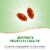 Nature's Way Saw Palmetto Premium Extract Supports Prostate Health Capsules 160 mg Per Serving Perspective: right