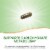 Nature's Way Gymnema Premium Extract Supports Carbohydrate Metabolism Capsules 500 mg per Serving Perspective: right