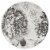 BIA Cordon Bleu Peony Dinner Plate - Gray Perspective: right