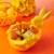 REESE'S Assorted Milk Chocolate White Creme Peanut Butter Eggs Easter Candy Bag Perspective: right