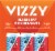 Vizzy Blueberry Pomegranate Hard Seltzer Perspective: right
