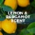 Tom's of Maine Complete Protection Aluminum-Free Natural Deodorant for Women Lemon & Bergamot Perspective: right