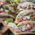 Sea Cuisine Garlic & Herb Tilapia Perspective: right