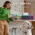 Kleenex Disposable Paper Hand Towels Box Perspective: right