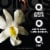 Oikos Triple Zero Vanilla Protein Nonfat Greek Yogurt Tub Perspective: right