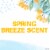 Secret for Women Antiperspirant Deodorant Invisible Solid Spring Breeze Scent Perspective: right